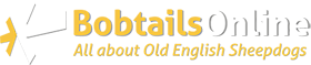 oes-bobtail