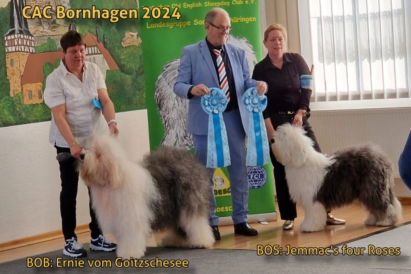 Sieger - CAC Bornhagen 2024