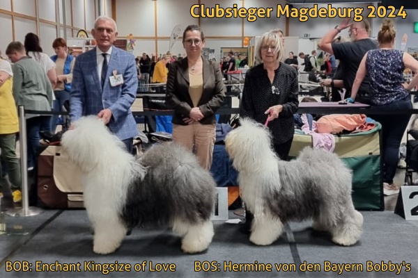 Sieger Clubsieger Magdeburg 2024