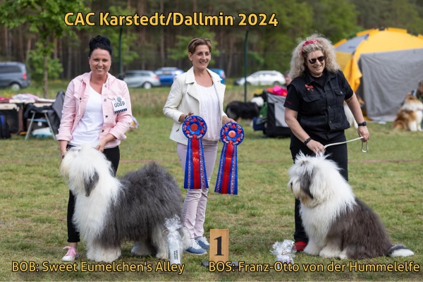  Sieger CAC Karstedt/Dallmin 2024