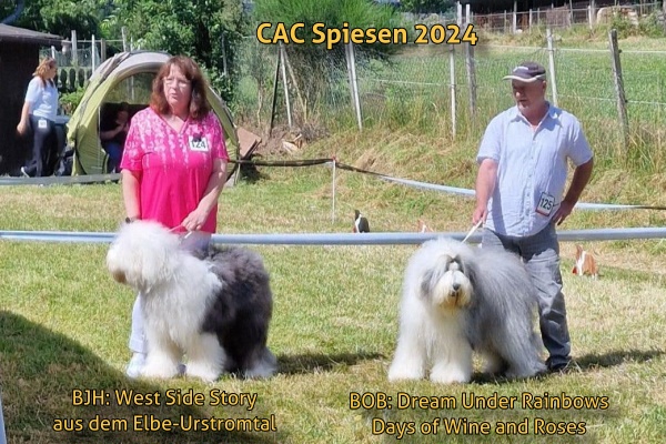 Sieger CAC Spiesen 2024