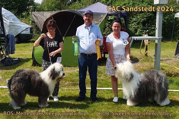 Sieger CAC Sandstedt 2024