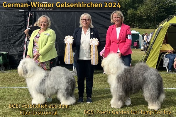 Sieger German-Winner Gelsenkirchen 2024