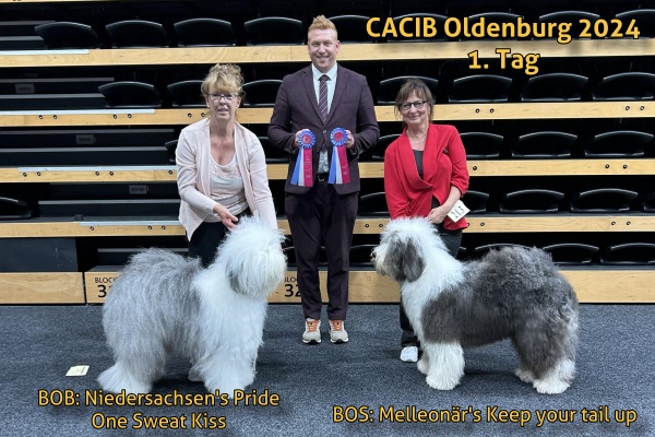 Sieger CACIB Oldenburg  2024 1.Tag