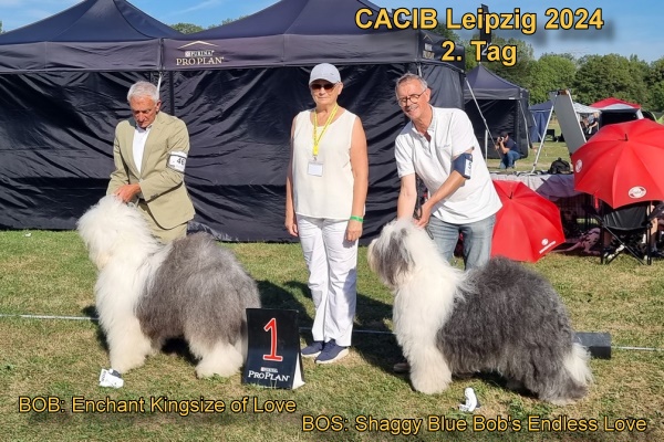 Sieger CACIB Leipzig 2024 2. Tag