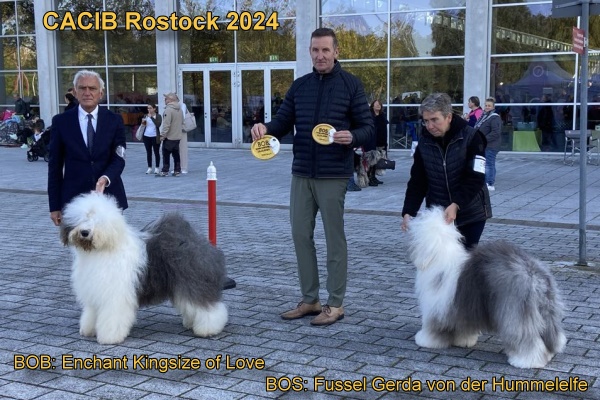 Sieger CACIB Rostock 2024