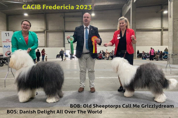 CACIB Fredericia 2023