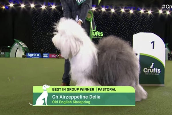 Crufts 2023