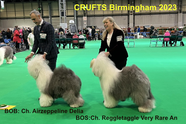 CRUFTS Birmingham 2023