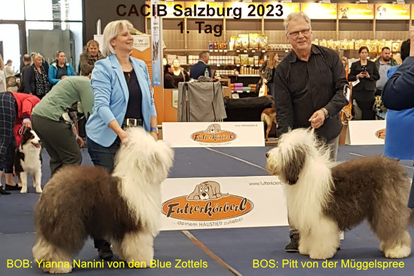 CACIB Salzburg 2023 1.Tag