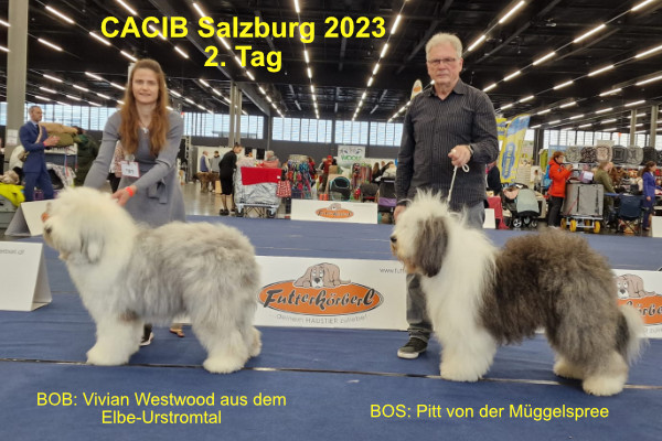 CACIB Salzburg 2023 2.Tag