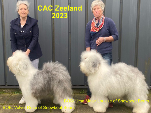 CAC Zeeland 202