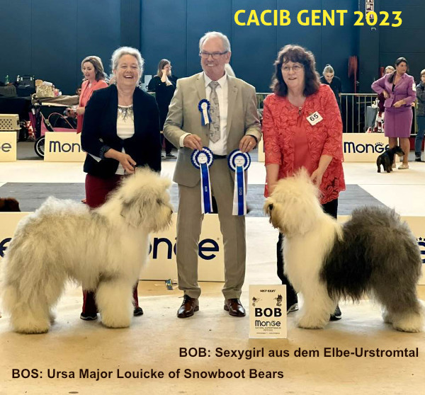 CACIB Gent 2023