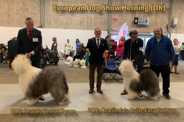 European Dog Show Herning (DK)