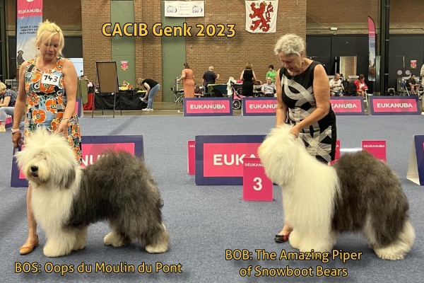 CACIB Genk 2023