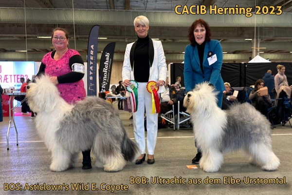 CACIB Herning 2023