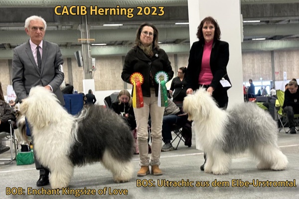 CACIB Herning 2023