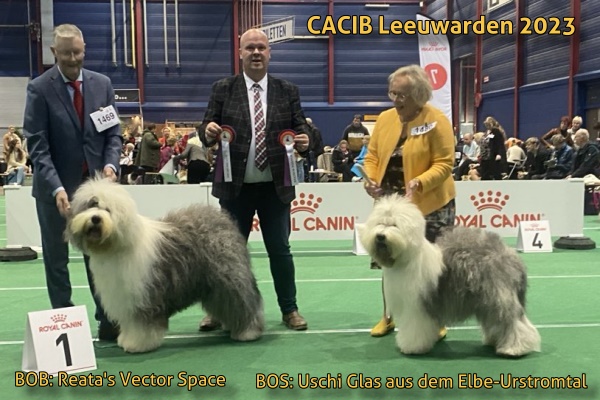 CACIB Leeuwarden 2023