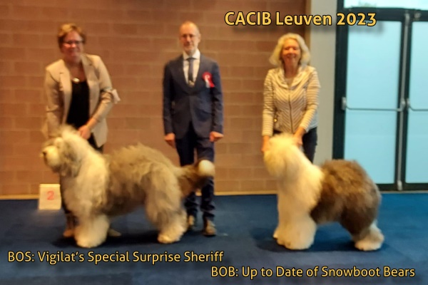 CACIB Leuven 2023