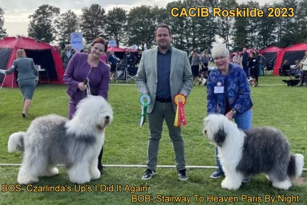 CACIB Roskilde 2023