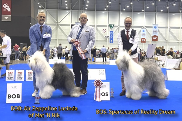 World Dog Show Genf 2023