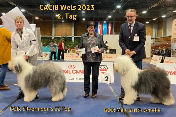 CACIB Wels 2023 2.Tag