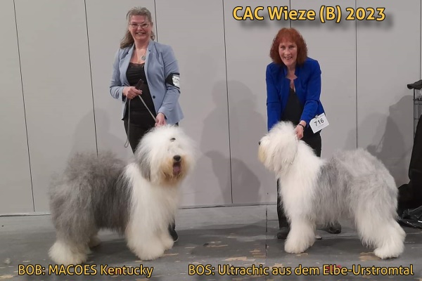 CAC Wieze (B) 2023