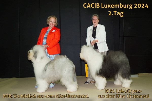 CACIB Luxenburg 2024 2.Tag