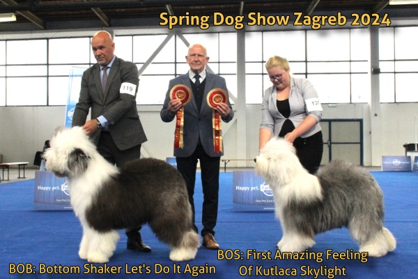 Spring Dog Show Zagreb 2024