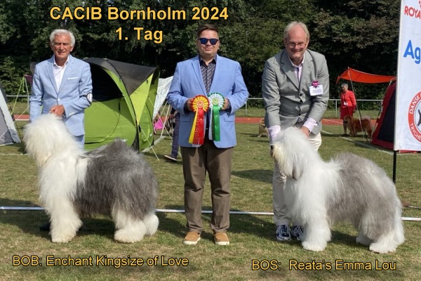 CACIB Bornholm 2024 1.Tag