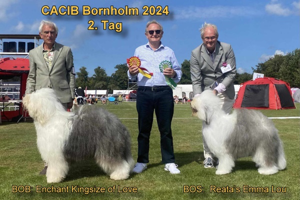 CACIB Bornholm 2024 2.Tag