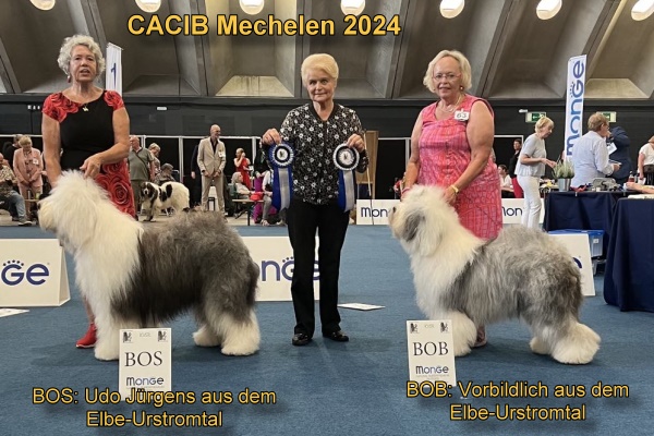 CACIB Mechelen 2024