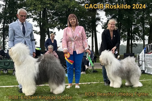 CACIB Roskilde 2024