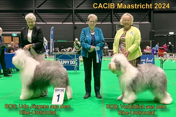 CACIB Maastricht 2024