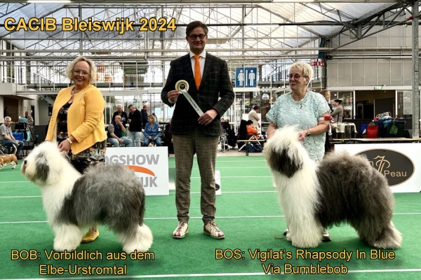 CACIB Bleiswijk 2024