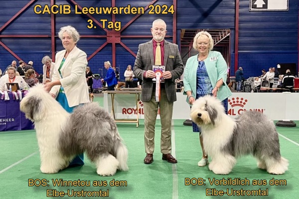 CACIB Leeuwarden 2024 3. Tag